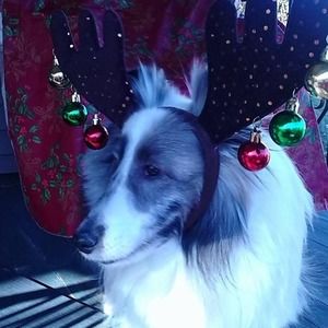 Meet your Posher, Bette